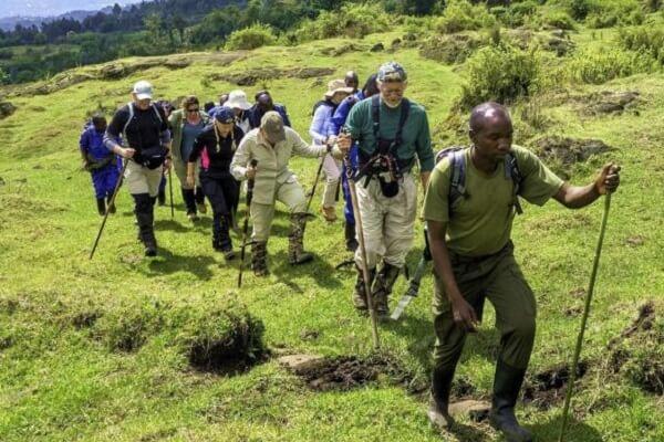 Bwindi Impenetrable Forest National Park, things to do in Rwanda