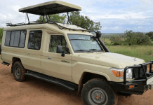 Birding Tours Rwanda – Quiet Hybrid Car Rental Rwanda Options Birding Tours Rwanda - Quiet Hybrid Car Rental Options Car Rental in Rwanda: A Guide to Booking Cars Online in Kigali Safari Car Hire Rwanda | 4x4 Rental for Akagera & Volcanoes Rwanda Car Hire: Book Your Rooftop Tent Car Today in Kigali