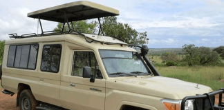 Birding Tours Rwanda – Quiet Hybrid Car Rental Rwanda Options Birding Tours Rwanda - Quiet Hybrid Car Rental Options Car Rental in Rwanda: A Guide to Booking Cars Online in Kigali Safari Car Hire Rwanda | 4x4 Rental for Akagera & Volcanoes Rwanda Car Hire: Book Your Rooftop Tent Car Today in Kigali