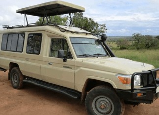 Rwanda Car Rental Guide Kigali for Visitors and Tourists Rwanda Car Rental Guide Kigali, Rwanda Holiday Car Hire for Leisure, Kigali Car Rental Safari Vehicle, Kigali 4WD Rental Guide, Driver Guided Tour Rwanda, Chauffeur Driven Car Kigali, Low Cost Car Hire Rwanda, Nissan Patrol Rental Rwanda, Birding Tours Rwanda - Quiet Hybrid Car Rental Options Car Rental in Rwanda: A Guide to Booking Cars Online in Kigali Safari Car Hire Rwanda | 4x4 Rental for Akagera & Volcanoes Rwanda Car Hire: Book Your Rooftop Tent Car Today in Kigali