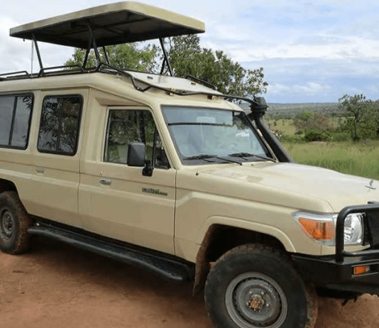 Rwanda Car Rental Guide Kigali for Visitors and Tourists Rwanda Car Rental Guide Kigali, Rwanda Holiday Car Hire for Leisure, Kigali Car Rental Safari Vehicle, Kigali 4WD Rental Guide, Driver Guided Tour Rwanda, Chauffeur Driven Car Kigali, Low Cost Car Hire Rwanda, Nissan Patrol Rental Rwanda, Birding Tours Rwanda - Quiet Hybrid Car Rental Options Car Rental in Rwanda: A Guide to Booking Cars Online in Kigali Safari Car Hire Rwanda | 4x4 Rental for Akagera & Volcanoes Rwanda Car Hire: Book Your Rooftop Tent Car Today in Kigali