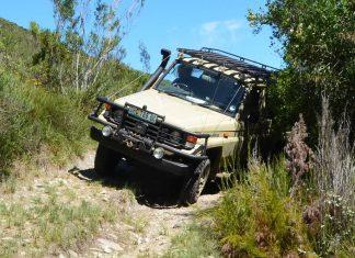 Kigali Car Rental: Tourist Cars for Rwanda National Park Hikes Kigali Car Rental: Tourist Cars for Rwanda National Park Hikes Car hire Rwanda Off-Road Fun Awaits: 4x4 Adventure Rentals in Kigali Best Time to Rent a car in Rwanda: Seasonal Car Rental Deals Car Hire in Rwanda: Rooftop Tent Kigali Car Rental Adventures Begin