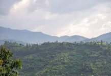 Rwanda Road Trip Itinerary: Seven Days Behind the Wheel Rwanda Road Trip Itinerary: