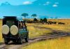Rwanda Scenic Drives: Routes Every Road Tripper Should Rwanda Scenic Drives: