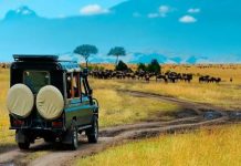 Rwanda Scenic Drives: Routes Every Road Tripper Should Rwanda Scenic Drives: