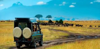 Rwanda Scenic Road Trip: Best Stops Between Major Destinations Rwanda Scenic Road Trip:,Rwanda Scenic Drives: