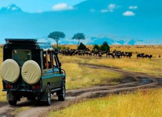Rwanda Scenic Road Trip: Best Stops Between Major Destinations Rwanda Scenic Road Trip:,Rwanda Scenic Drives:
