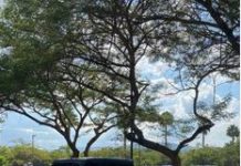 Kigali Attractions by Rental Car: A Practical Visitor Guide Kigali Attractions by Rental Car: